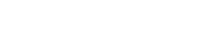Aula Virtual SBELIM